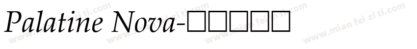 Palatine Nova字体转换